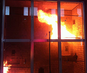 Противопожарные окна Куровское